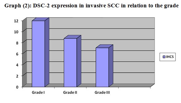 The Value of Desocollin 2 (DSC-2) Expression in Differentiation between Urinary Bladder Transitional and Squamous Cell Carcinoma